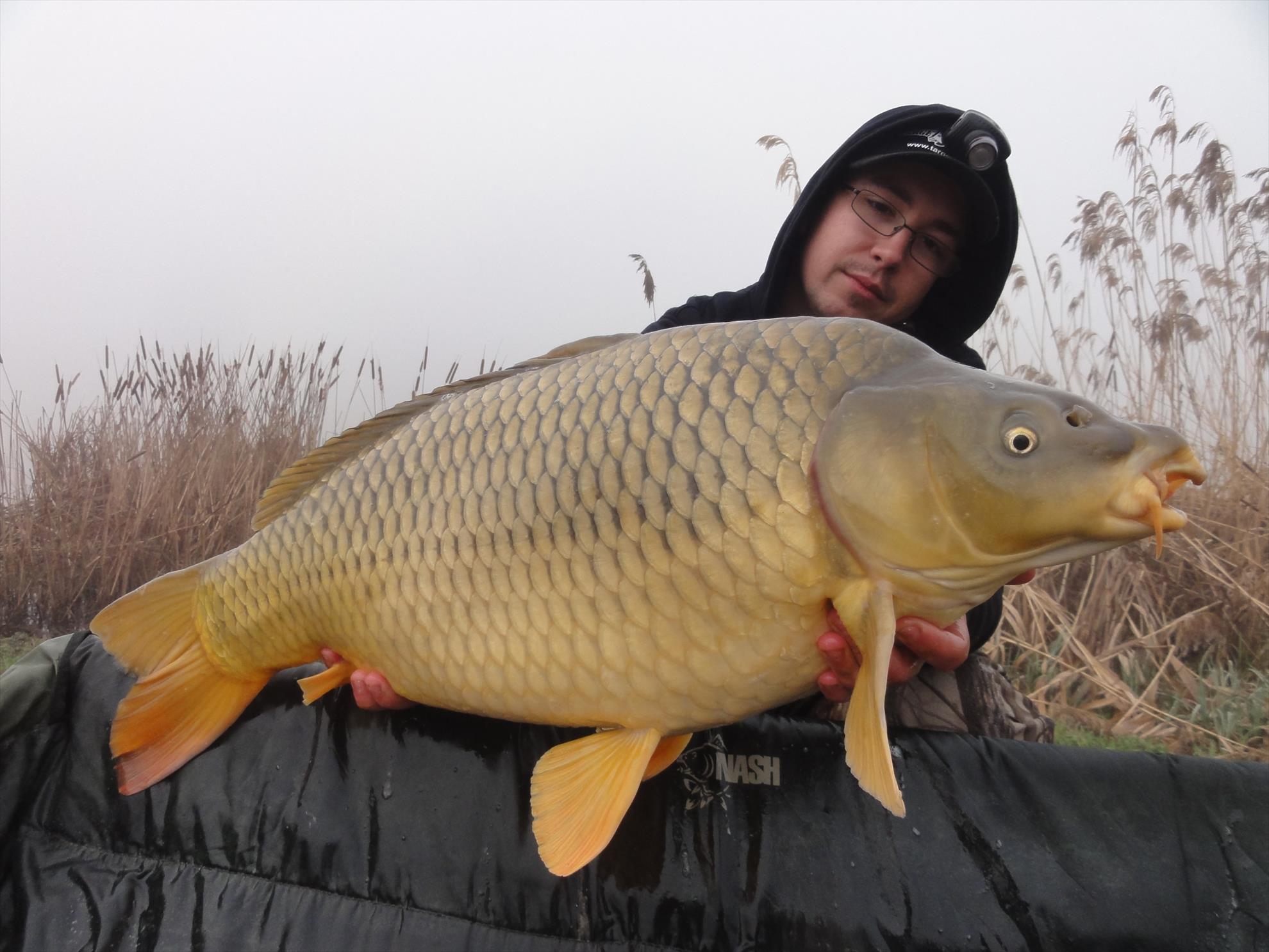 Aprilie 2013 - Harsany Aprilie 2013